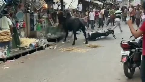 घमासान युद्ध