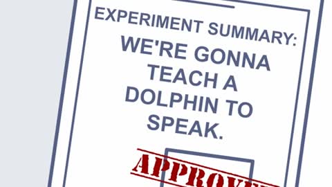 Rooster Teeth Animated Adventures - The Dolphin Experiment_Cut