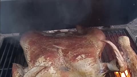 Smoking a turkey 🦃