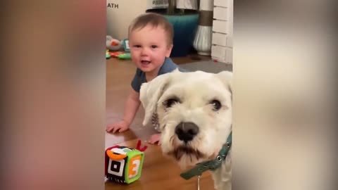 Cutest babies play with dogs and cats compilation || cool peachy