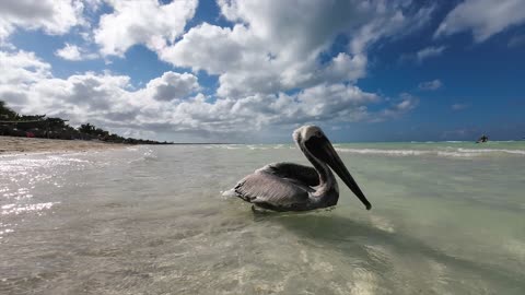 Cayo Coco Cuba