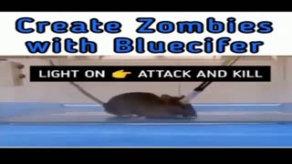 Project Bluecifer - Creating Zombies with Optogenetics