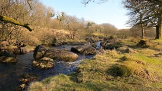 Ambient sound a river. GoPro.