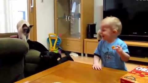 Funny And Cute Babies Laughing Hysterically At Dogs