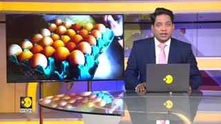 WION Business News | Inflation hits egg consumers in Malaysia
