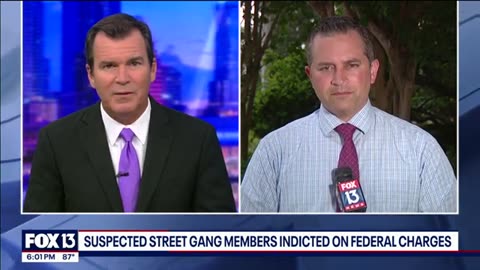 FLORIDA , TAMPA GANG ARRESTS