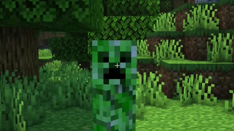 Minecraft When you DON'T fill the Creeper Holes.