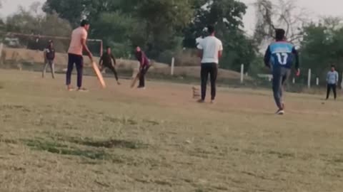 Hit Straight Shot ( Cricket 🏏)