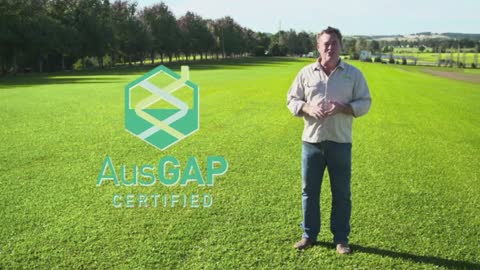 Lawn Solutions Australia What is Sir Walter DNA Certified Lawn with Jason Hodges