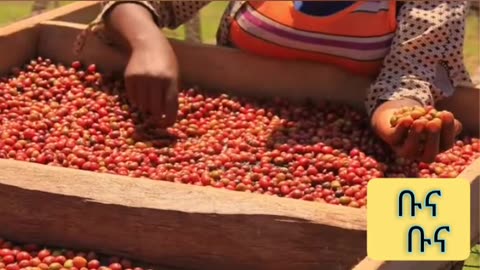 Ethiopian Coffee group song