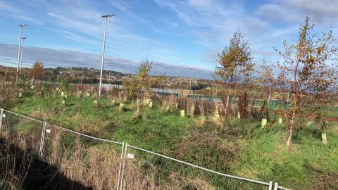 Bushel work of Aberdeen council established trees Kingsford practice football Nov2023