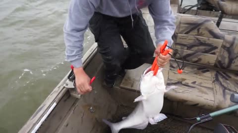 Risking it ALL! Catching BIG CATFISH in SEVERE WEATHER
