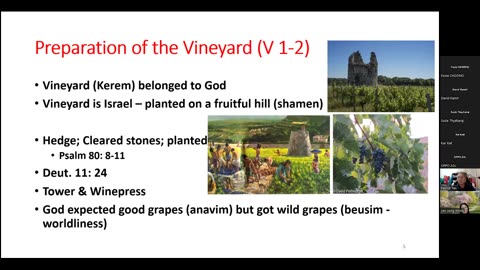 Peer to Peer monthly TAV TEACH Biblical Hebrew: Tales of the 2 grapes from the vineyard/כֶּרֶם.