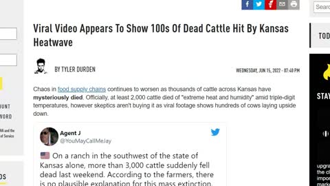 Wow! Thousands of Dead Cattle in Kansas - Was It The Heat?