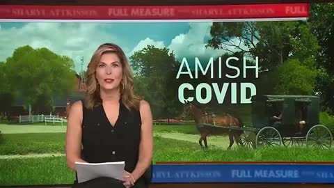 How did the Amish go with Covid-19?