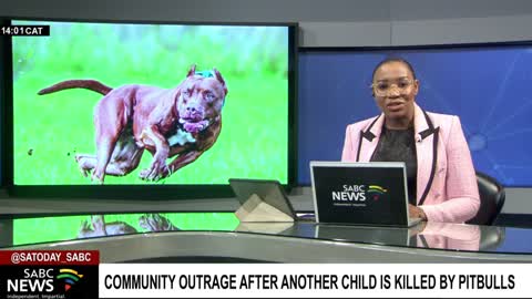 Hennenman residents kill a Pitbull that mauled to death a three-year-old Keketso Saule