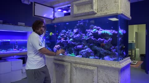 Blue Seas Aquariums Show Tank Bare Bottom Update