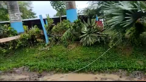 Video registró magnitud de la tragedia en el Carmen de Chucurí