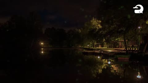 Sons tranquilos do lago à noite | Sapos, Grilos, Corujas, Sons da Natureza - Sono Relaxante