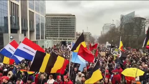 Protest Update in Brussels, Belgium || Foreign News