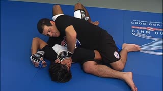 Ground and Pound - MMA Tips featuring Master Marcus Vinicius Di Lucia