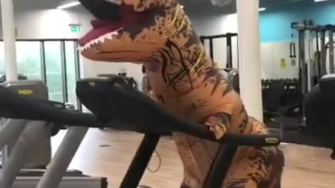 T Rex on a treadmill - even Dinosaurs need to work out!