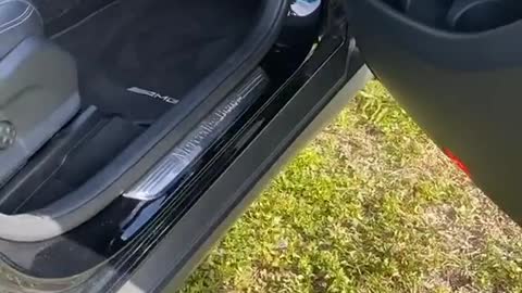 Cute Prairiedog trying to get in the car