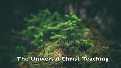 The Universal Christ Teaching