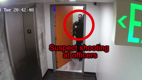 LAPD Shooting | 👀👀👀 (Check Description)