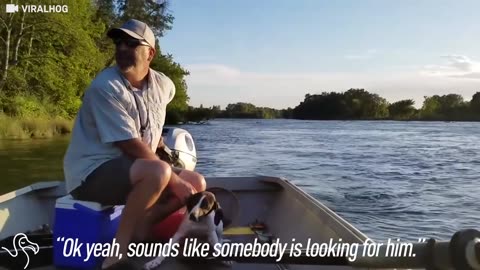 Boater Comes Across A Dog Who's Gotten Too Tired To Swim
