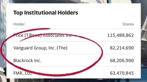 Vanguard and Blackrock owns every corporation!