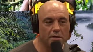 Joe Rogan & David Sinclair