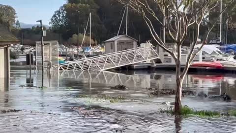 JUST IN 🚨 Flooding in Santa Cruz, California as a result of Tsunami caused by Tonga volcano eruption