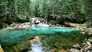 Birdsong and forest river for sleep and meditation