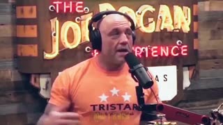 Elon posts video of Joe Rogan saying: 'I'd vote for Trump before I'd vote for Biden'