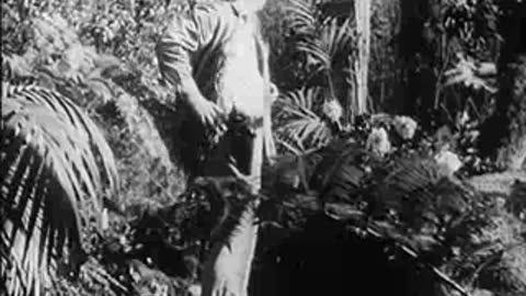 Tarzan's Revenge - 1938 in the Public Domain!