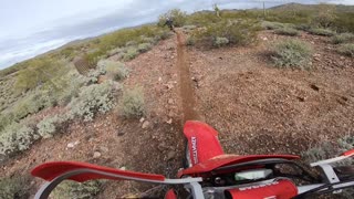 Father & Son Rippin' Single Track