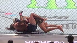 UFC vicious kick to the head