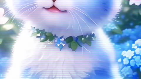 Beautiful Cat, cat nice video, Cat fun, Cat natural