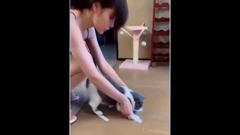 FUNNY AND CUTE VIDEO