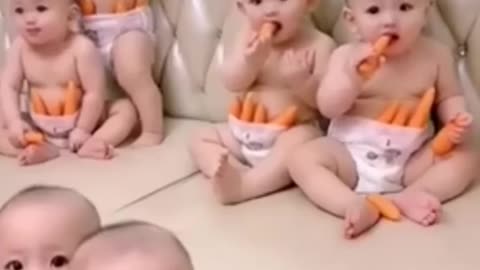 Top Cutest Chubby Baby on the Planet - Funny Baby Videos __ Kudo Baby