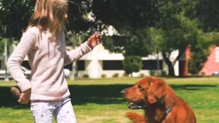 The Unbreakable Bond Between a Cute Girl and Her Loyal Dog | A cute dog fight with girl 😍💖