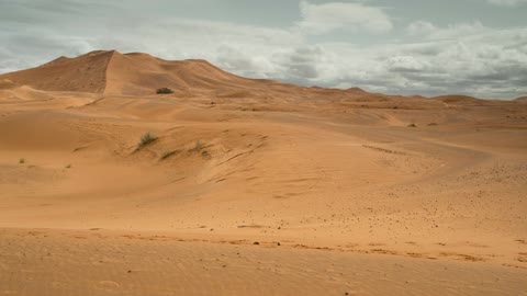 Desert caravan