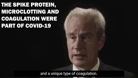 The Spike Protein, Microclotting and Coagulation Were Part of COVID-19