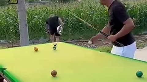 Funny Billiards Video