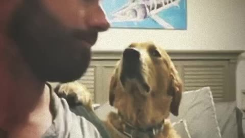 Man records dog’s reaction after kissing him on the head