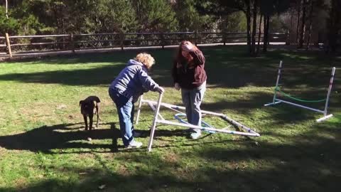 Dog Gets Owner To Jump Through Hoops