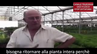 🔴💣PIANTE PROIBITE, TUTTE LE PIANTE CAPACI DI CURARE QUALSIASI PATOLOGIA..