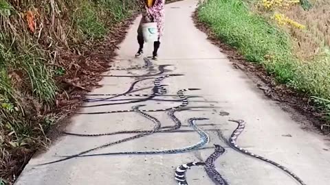 Sorprendente I draw in 3D on the rural road