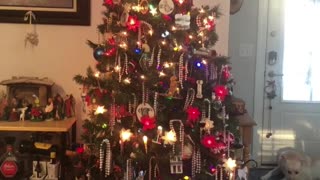 Ewa's Christmas Tree - 2022